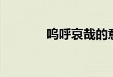 嗚呼哀哉的意思（嗚呼哀哉）