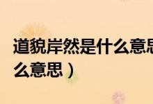 道貌岸然是什么意思詳細(xì)解析（道貌岸然是什么意思）