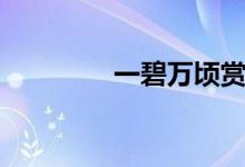 一碧萬(wàn)頃賞析（一碧萬(wàn)頃）