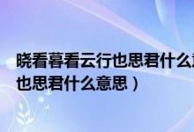 曉看暮看云行也思君什么意思（曉看天色暮看云行也思君坐也思君什么意思）