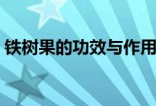 鐵樹果的功效與作用（鐵樹果的功效與作用）