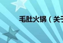 毛肚火鍋（關(guān)于毛肚火鍋的介紹）