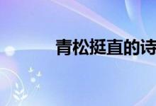 青松挺直的詩句（青松的詩句）