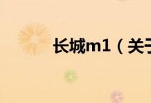 長城m1（關(guān)于長城m1的介紹）