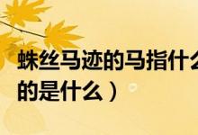 蛛絲馬跡的馬指什么（蛛絲馬跡的馬一開(kāi)始指的是什么）