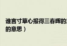 誰言寸草心報(bào)得三春暉的意思是啥（誰言寸草心報(bào)得三春暉的意思）