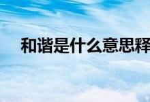 和諧是什么意思釋義（和諧是什么意思）