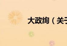 大政絢（關(guān)于大政絢的介紹）