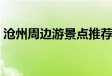 滄州周邊游景點推薦（滄州周邊游景點推薦）