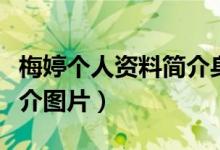 梅婷個人資料簡介身高年齡（梅婷個人資料簡介圖片）