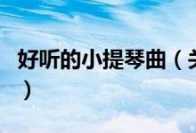 好聽的小提琴曲（關(guān)于好聽的小提琴曲的介紹）