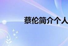 蔡倫簡介個人資料（蔡倫簡介）