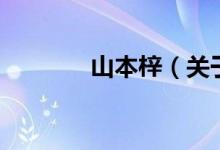 山本梓（關于山本梓的介紹）
