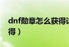 dnf勛章怎么獲得詳細講解（dnf勛章怎么獲得）