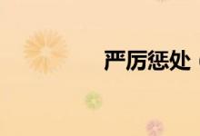 嚴(yán)厲懲處（嚴(yán)厲近義詞）