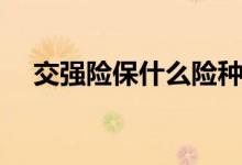 交強險保什么險種（交強險保什么內容）