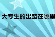 大專生的出路在哪里（專科生畢業(yè)后的出路）