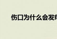 傷口為什么會(huì)發(fā)癢（傷口為什么結(jié)痂）