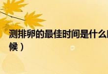 測排卵的最佳時間是什么時間（測排卵的最佳時間是什么時候）