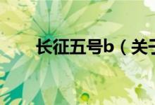 長征五號b（關(guān)于長征五號b的介紹）