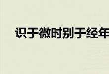 識于微時別于經(jīng)年什么意思（識于微時）