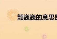 顫巍巍的意思是（顫巍巍的意思）