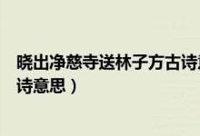 曉出凈慈寺送林子方古詩意思視頻（曉出凈慈寺送林子方古詩意思）