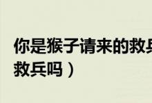 你是猴子請(qǐng)來的救兵嗎原版（你是猴子請(qǐng)來的救兵嗎）