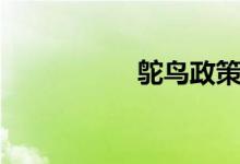 鴕鳥政策（鴕鳥政策）
