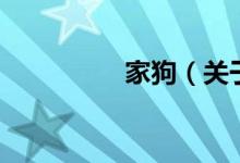 家狗（關(guān)于家狗的介紹）