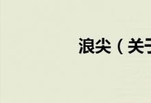 浪尖（關于浪尖的介紹）