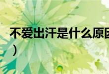 不愛(ài)出汗是什么原因呢（不愛(ài)出汗是什么體質(zhì)）