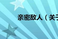 親密敵人（關(guān)于親密敵人的介紹）