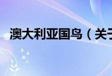 澳大利亞國鳥（關(guān)于澳大利亞國鳥的介紹）