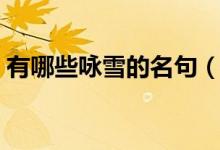 有哪些詠雪的名句（經(jīng)典的詠雪詩句有哪些）