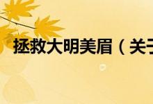 拯救大明美眉（關(guān)于拯救大明美眉的介紹）