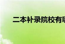 二本補(bǔ)錄院校有哪些（會(huì)降分錄取嗎）