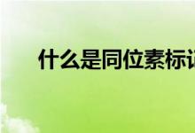 什么是同位素標記法（什么是同位素）