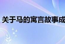 關(guān)于馬的寓言故事成語（關(guān)于馬的寓言故事）