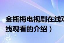 金瓶梅電視劇在線觀看（關于金瓶梅電視劇在線觀看的介紹）