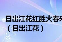 日出江花紅勝火春來江水綠如藍(lán)的意思是什么（日出江花）