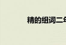 精的組詞二年級(jí)（精的組詞）