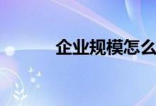 企業(yè)規(guī)模怎么劃分（企業(yè)規(guī)模）