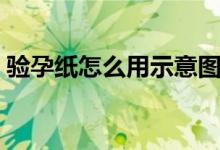 驗孕紙怎么用示意圖（驗孕紙怎么用求圖解）