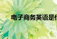電子商務(wù)英語是什么（電子商務(wù)英語）