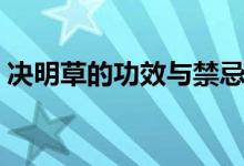 決明草的功效與禁忌（決明草的功效和作用）