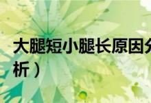 大腿短小腿長原因分析（大腿短小腿長原因分析）