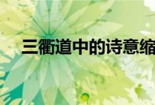 三衢道中的詩意縮寫（三衢道中的詩意）