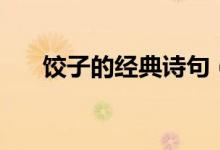 餃子的經(jīng)典詩(shī)句（餃子的經(jīng)典一句話）