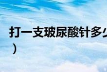 打一支玻尿酸針多少錢（打一支玻尿酸多少錢）